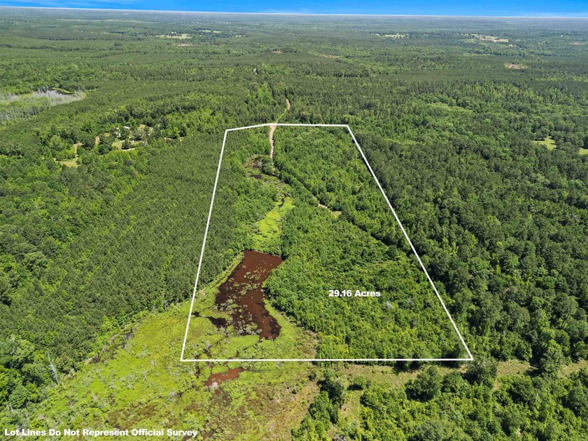 Escape to the peace and privacy of this stunning 29.16-acre - photo 5