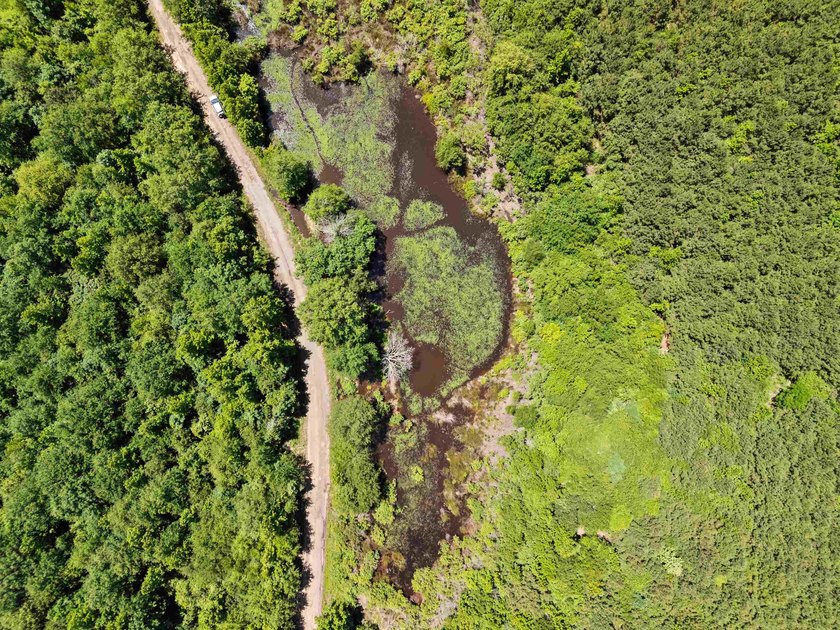 Escape to the peace and privacy of this stunning 29.16-acre - photo 8