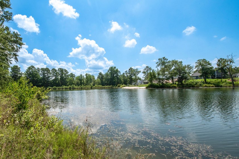 OPEN HOUSE Sat 11-2 &amp; Sun 1-3 please visit our Model Home 4057 - photo 8
