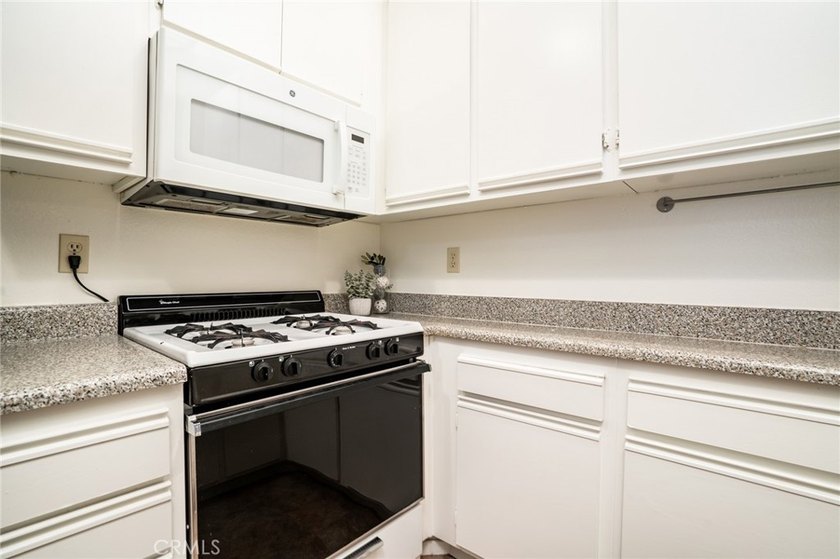 Downtown Vibe mixed with with private, peaceful secluson. 640 W - photo 4