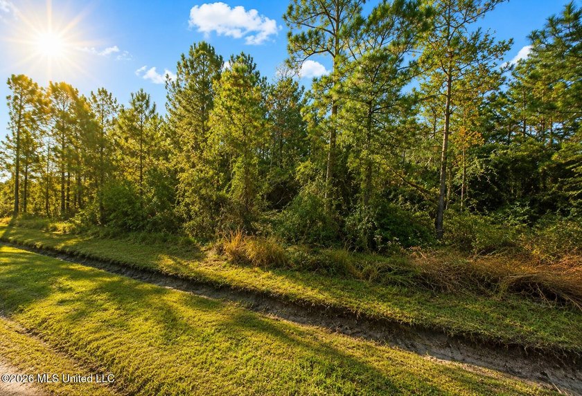 Build your dream home on this beautiful 100' x 100' wooded lot - photo 2