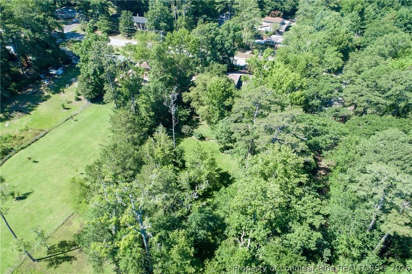 ONE OF A KIND! Nestled on nearly two acres in the heart of - photo 46