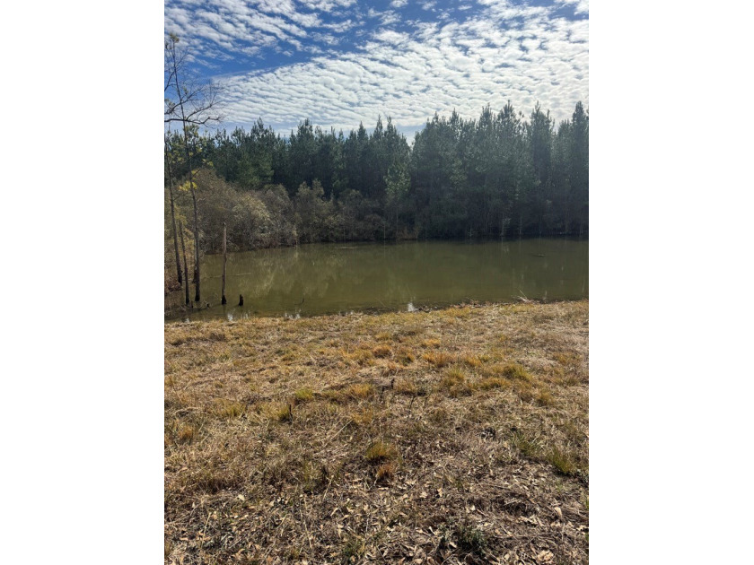 Enjoy the outdoors on this 40-acre tract in Poplarville that's - photo 11