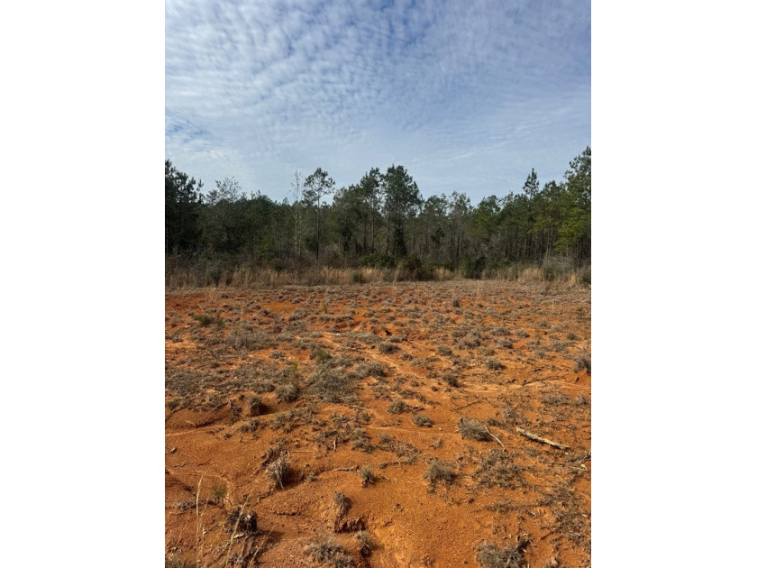 Enjoy the outdoors on this 40-acre tract in Poplarville that's - photo 14