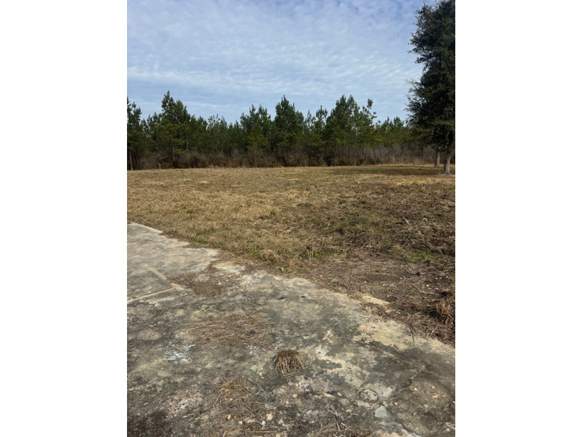 Enjoy the outdoors on this 40-acre tract in Poplarville that's - photo 15