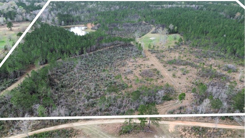 Enjoy the outdoors on this 40-acre tract in Poplarville that's - photo 16