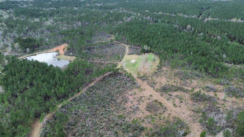 Enjoy the outdoors on this 40-acre tract in Poplarville that's - photo 20