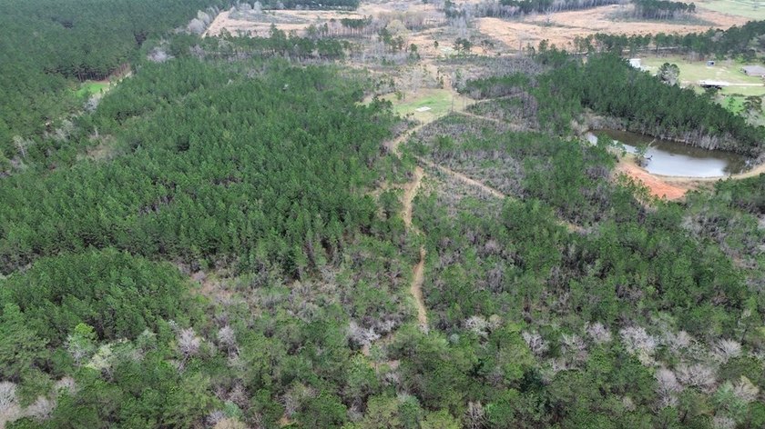 Enjoy the outdoors on this 40-acre tract in Poplarville that's - photo 22