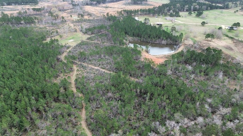 Enjoy the outdoors on this 40-acre tract in Poplarville that's - photo 23