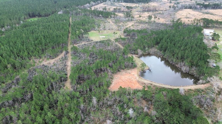 Enjoy the outdoors on this 40-acre tract in Poplarville that's - photo 24