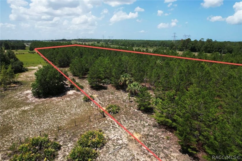 Nearly 9 ACRES that's NOT in the Flood Zone! MOBILE HOMES OK - photo 2