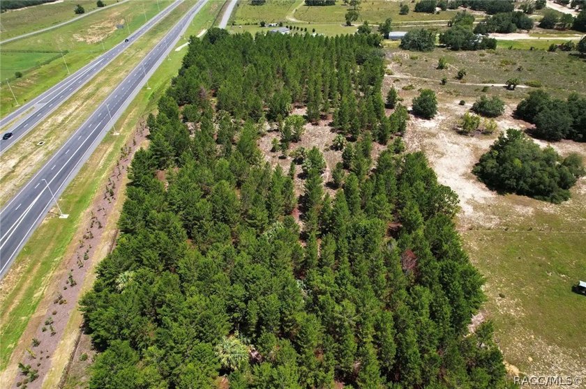 Nearly 9 ACRES that's NOT in the Flood Zone! MOBILE HOMES OK - photo 7