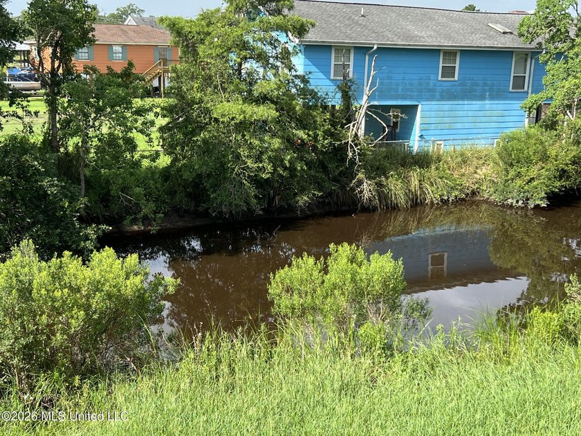Two level home facing water front canal, fish from your backyard - photo 3