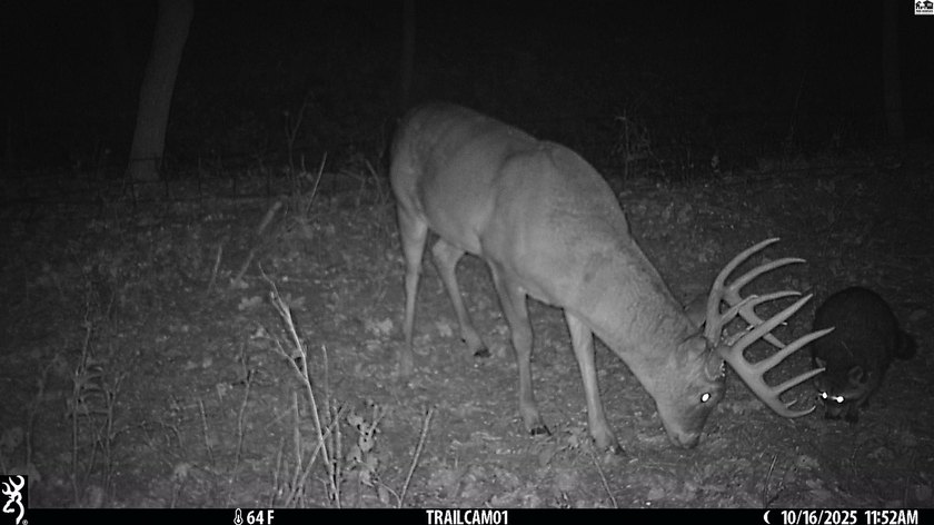 Just outside of Independence, Kansas sits 286+/- acre timber and - photo 4
