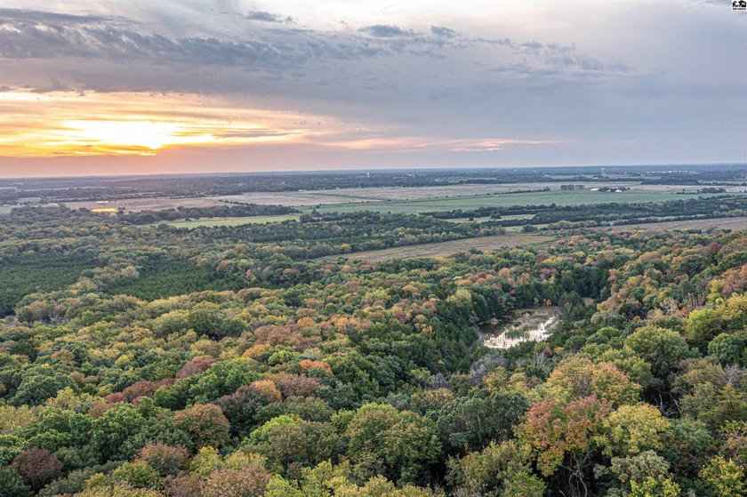 Just outside of Independence, Kansas sits 286+/- acre timber and - photo 8