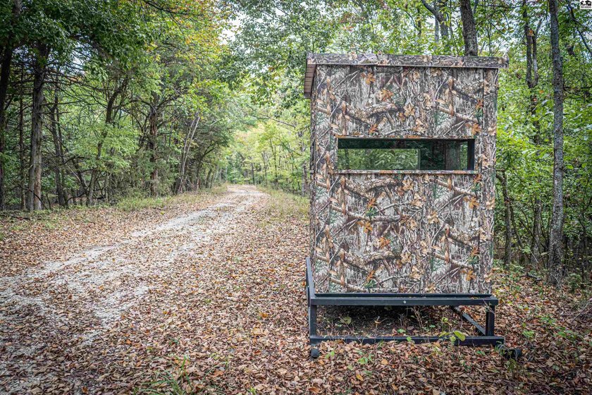Just outside of Independence, Kansas sits 286+/- acre timber and - photo 10