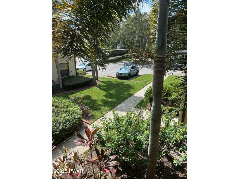 2611 Hammock Ct, Clearwater, FL 33761 in Hammock Pine - photo 3