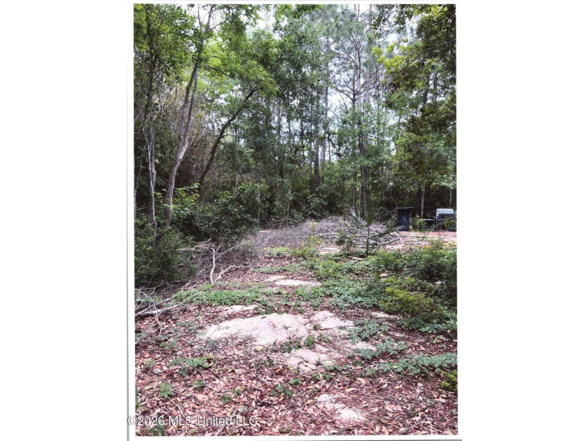 Listing photo
