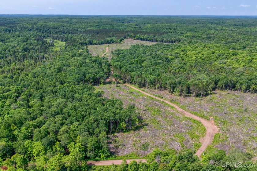 This 120-acre property is situated within the Ottawa National - photo 22