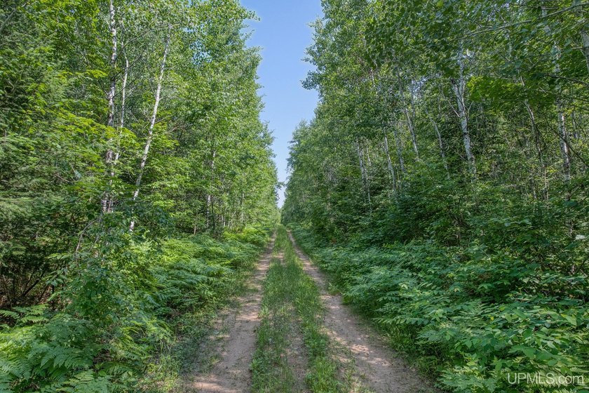 This 120-acre property is situated within the Ottawa National - photo 33