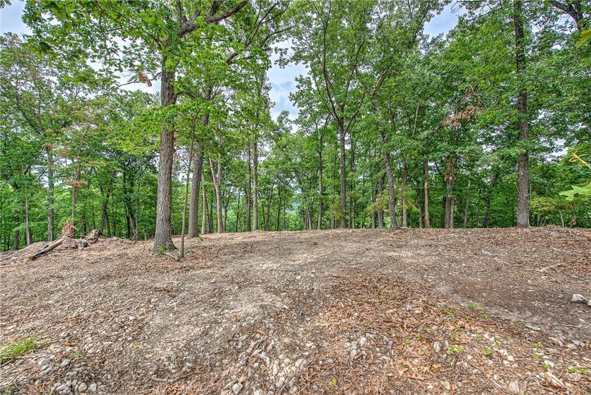 Enjoy breathtaking acreage showcasing mature hardwoods and - photo 4