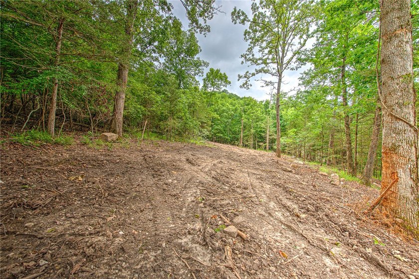 Enjoy breathtaking acreage showcasing mature hardwoods and - photo 10