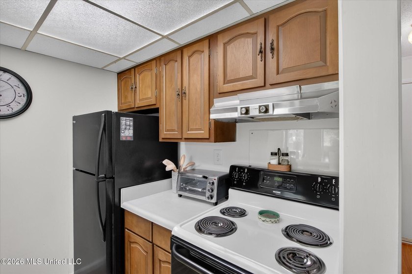 Lower level one bedroom condo offered with the furnishings - photo 14