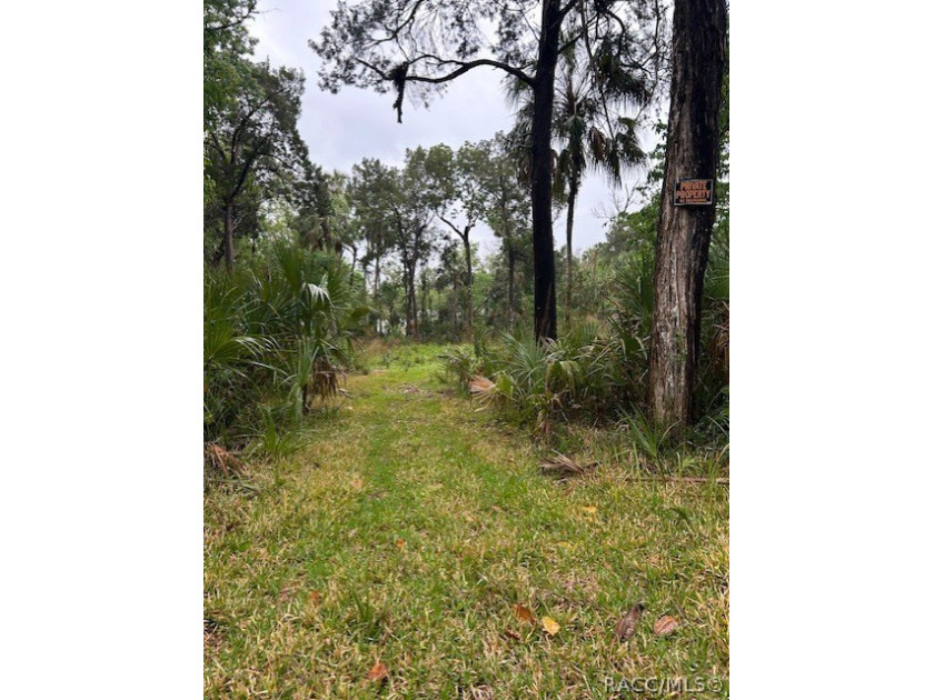 Build your dream home in Old Homosassa on this .47 acre cleared - photo 2