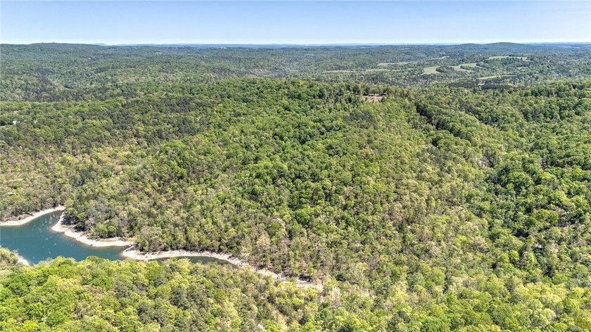 Enjoy breathtaking acreage showcasing mature hardwoods and - photo 4