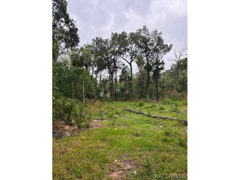 Build your dream home in Old Homosassa on this .47 acre cleared - photo 4