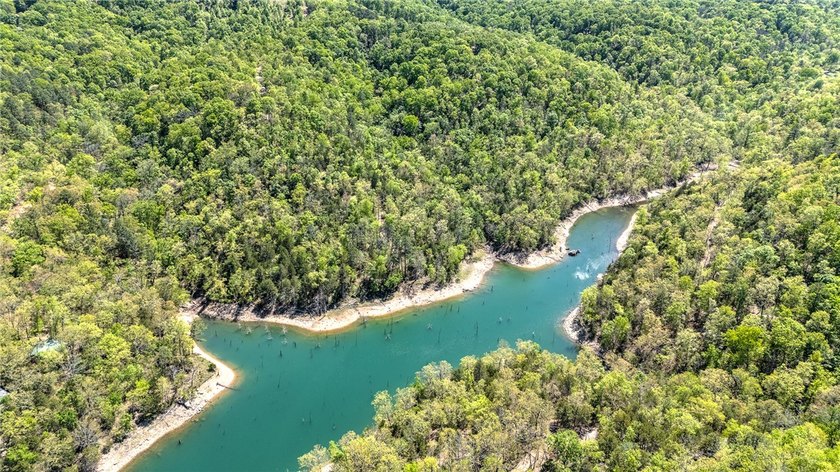 Enjoy breathtaking acreage showcasing mature hardwoods and - photo 8