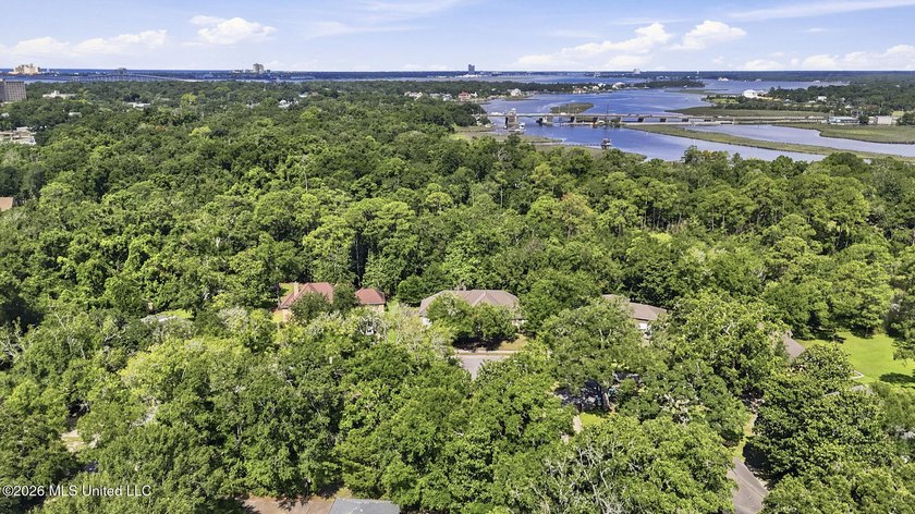 Nestled on nearly half an acre in one of Downtown Ocean Springs' - photo 39