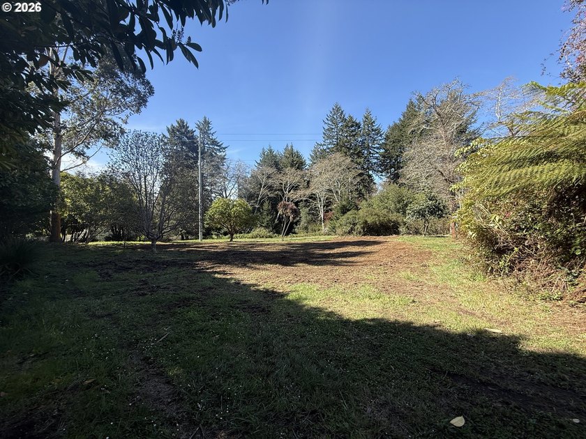 LEVEL HALF-ACRE NEAR HARRIS BEACH - BUILD-READY WITH ROOM TO - photo 2