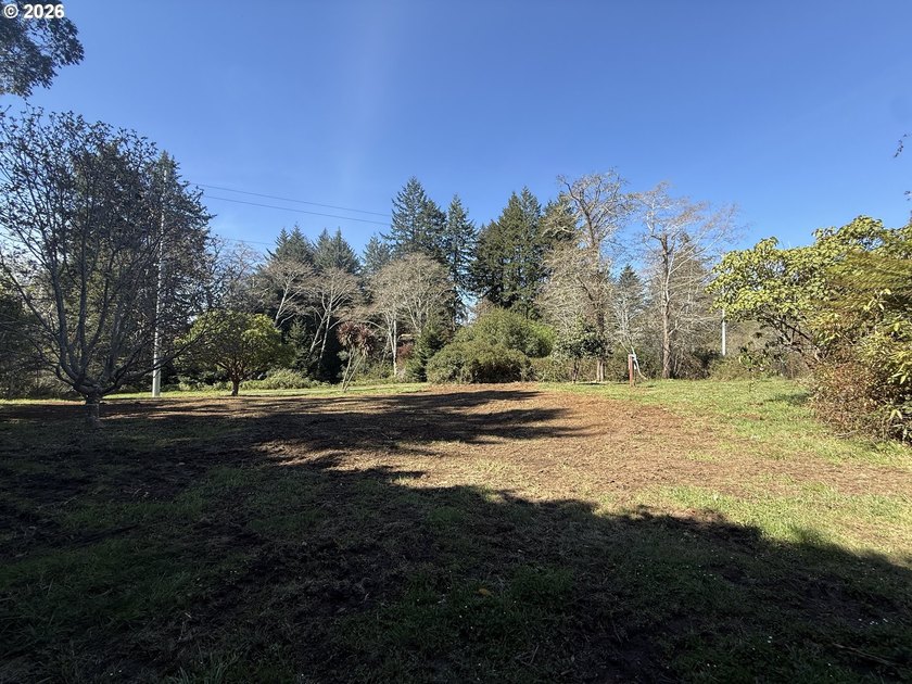LEVEL HALF-ACRE NEAR HARRIS BEACH - BUILD-READY WITH ROOM TO - photo 3