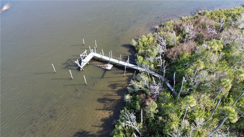 Private Island Offering---Boat Access Only! This is a rare - photo 8