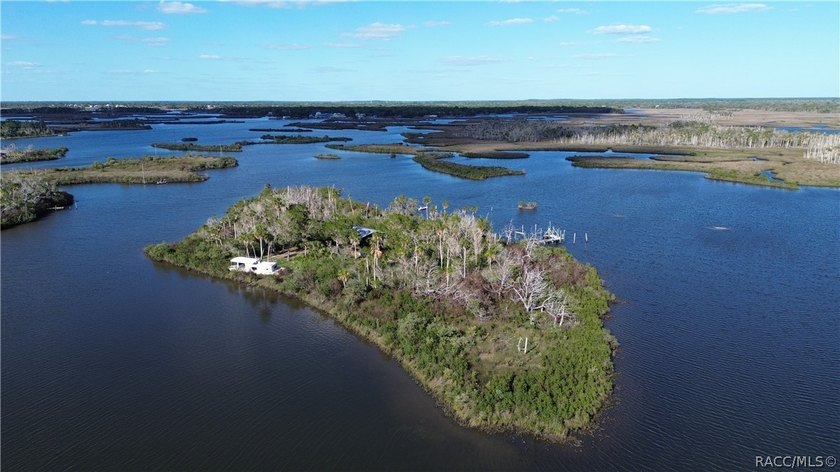 Private Island Offering---Boat Access Only! This is a rare - photo 10