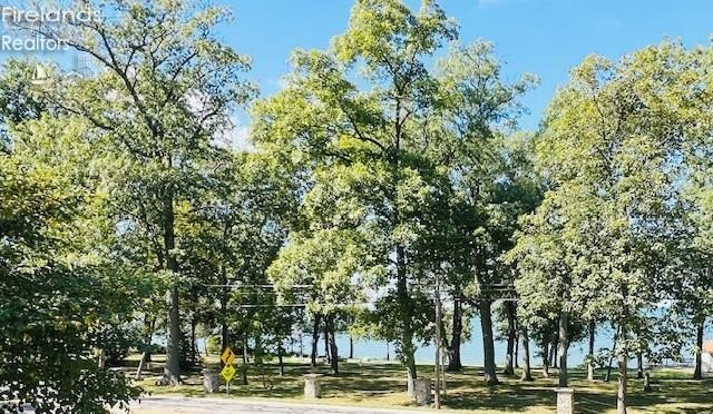 LOCATION!  LOCATION!  LOCATION! Historic Catawba Island SOLD - photo 3