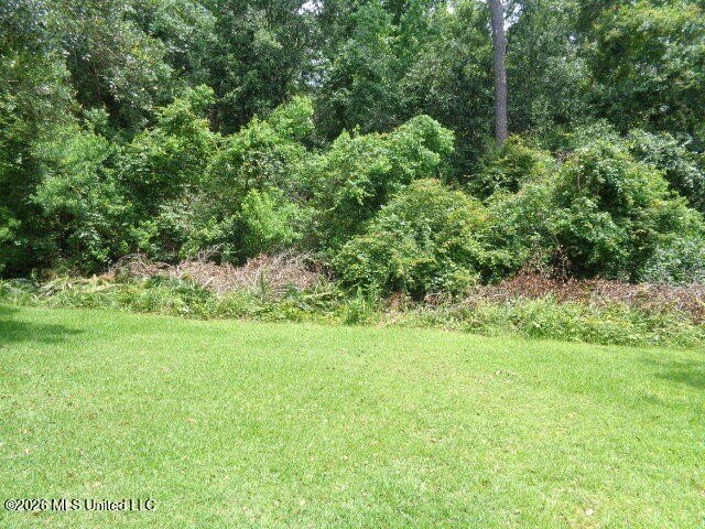 3 acres of High and Dry land not in a flood zone and in the very - photo 3