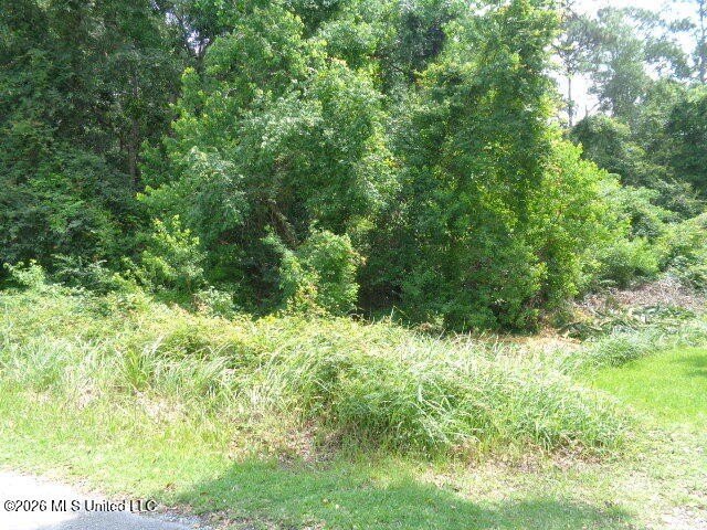 3 acres of High and Dry land not in a flood zone and in the very - photo 5