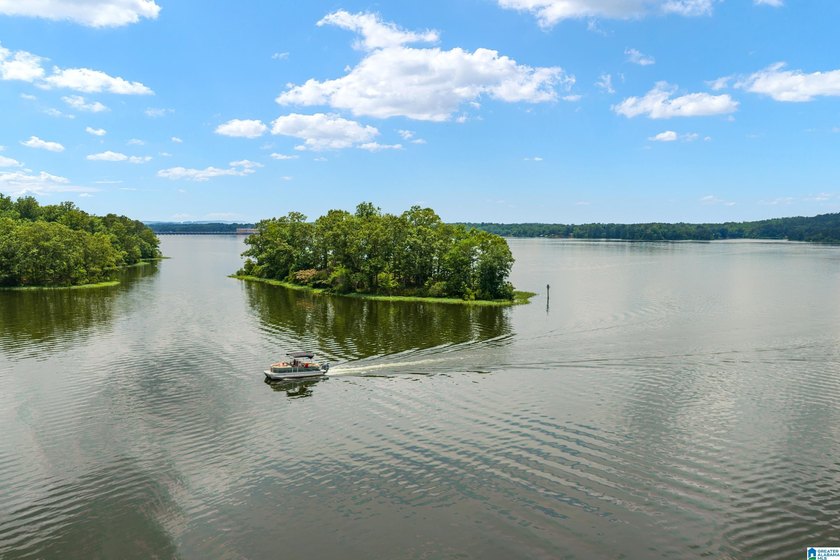 Sellers are taking a loss! This custom-built home with - photo 9