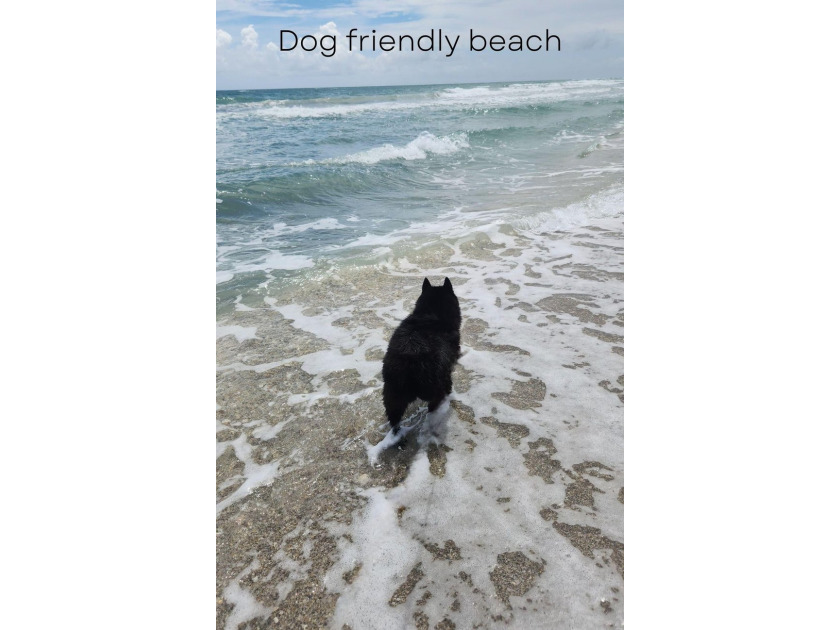 Create your dream home just steps from Jupiter Beach! Whether - photo 32