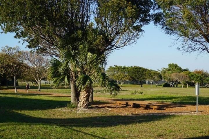 Create your dream home just steps from Jupiter Beach! Whether - photo 40