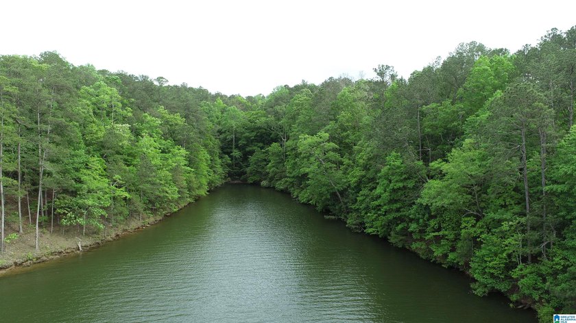 Large 2.3 acre lot located on the south end of Lake Wedowee - photo 3