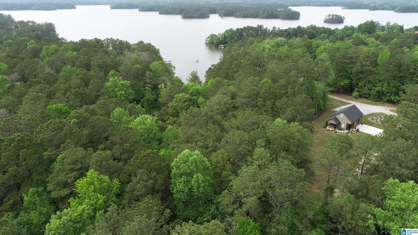 Large 2.3 acre lot located on the south end of Lake Wedowee - photo 5