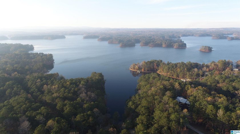 Large 2.3 acre lot located on the south end of Lake Wedowee - photo 7