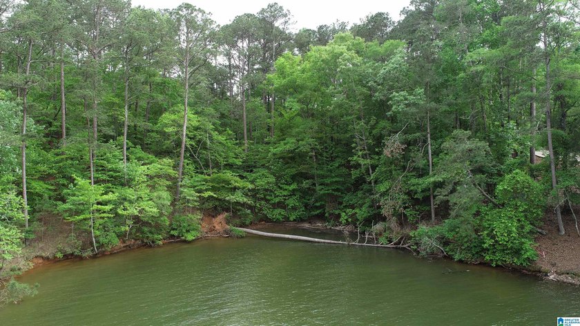 Located in a deep cove on the south end of beautiful Lake - photo 4