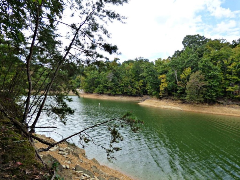 P/O Par Woods Ridge Rd, Dandridge, TN 37725, 3176140