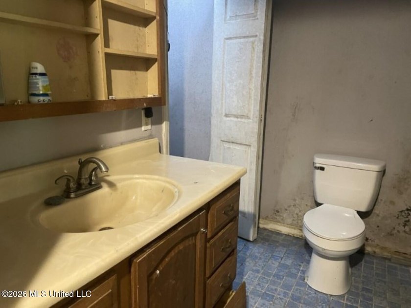 Potential awaits on this one-acre corner lot. The layout - photo 6