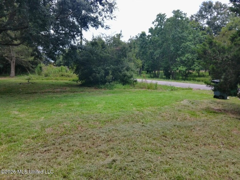 Potential awaits on this one-acre corner lot. The layout - photo 8