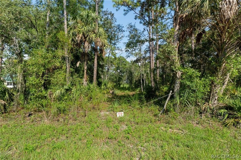 Rare opportunity to own a 1.24-acre homesite in the established - photo 6